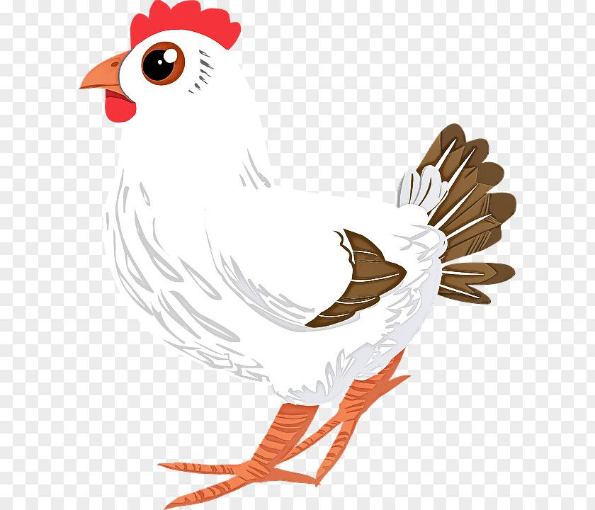 Bird Chicken Rooster Beak Comb PNG
