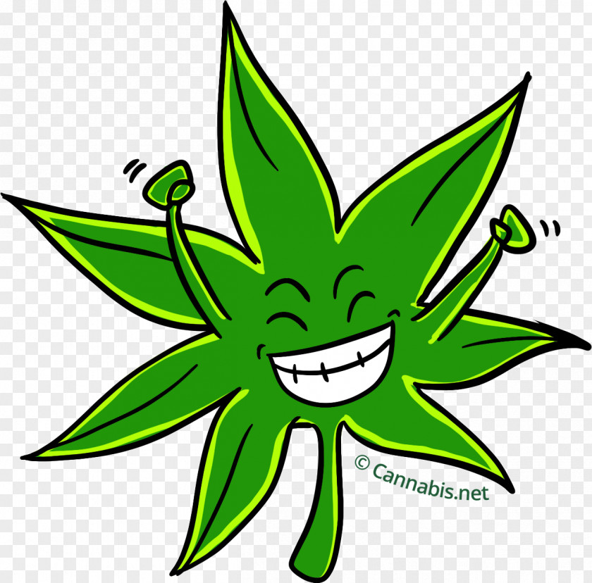 Cannabis Kush Medical Oaksterdam University Clip Art PNG