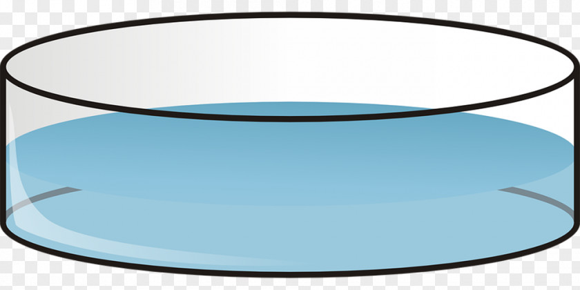 Cylindrical Glass Texture Water Drops Kapaa, Hawaii Readyman Services Petri Dish Clip Art PNG
