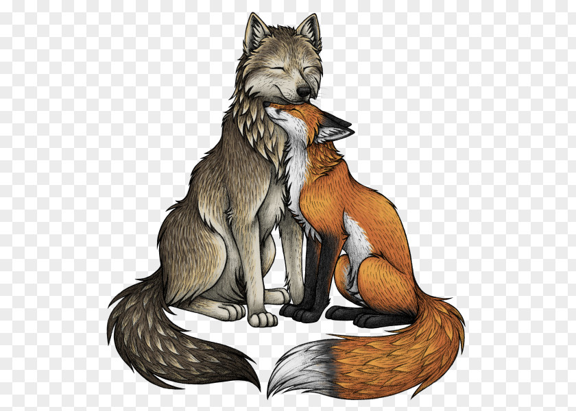 Fox Red Gray Wolf Drawing PNG
