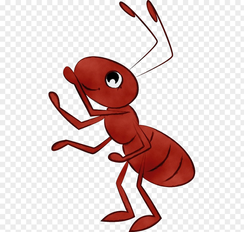 Insects Decapods Cartoon Pest Red PNG