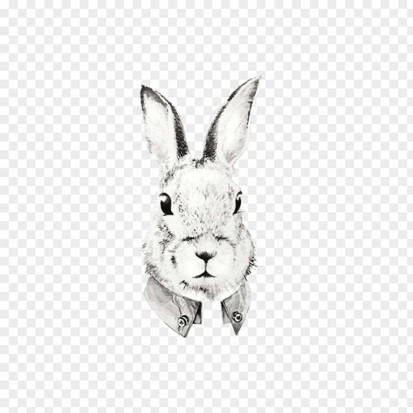 Rabbit Domestic Watercolor Painting Portrait Drawing Illustration PNG