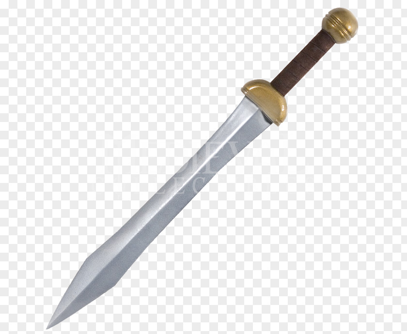 Sword Foam Larp Swords Gladius Maximus PNG