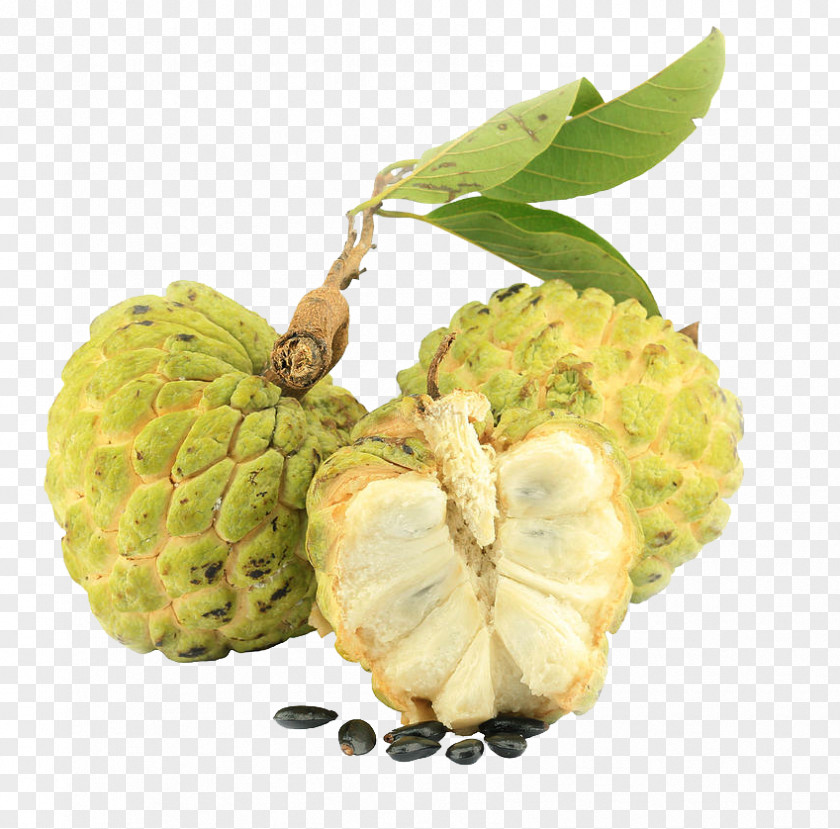 Tea Sugar-apple Soursop Fruit Sugar Apple PNG