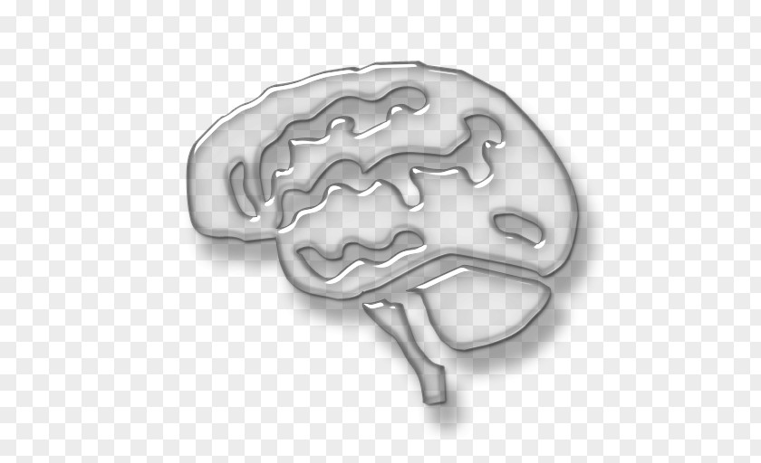 Vector Free Brain Human Clip Art PNG