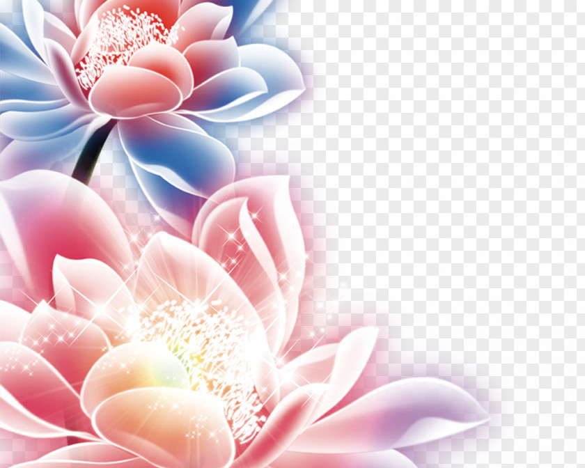 Colorful Lotus PNG