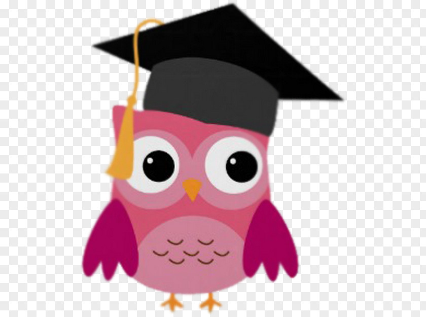 Owl Graduation Ceremony Square Academic Cap Gift Zazzle PNG