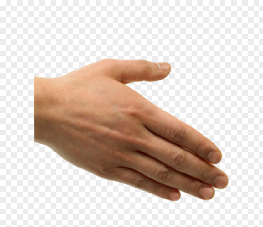 Hand Handshake Etiquette Clip Art PNG