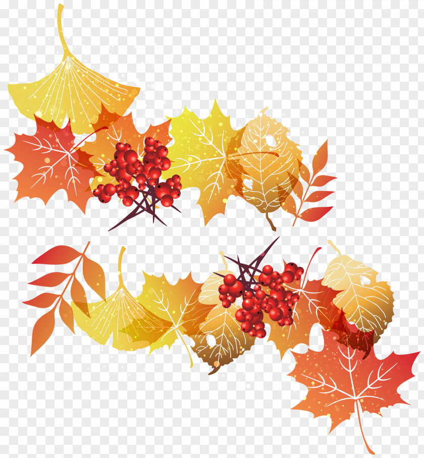 Autumn Maple Leaf Color PNG