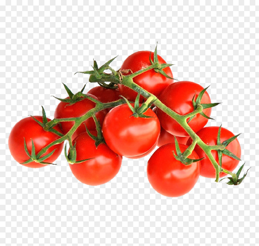 Cherry Plum Tomato Bush Cauliflower PNG