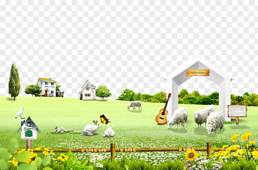 Country Style Ranch PNG