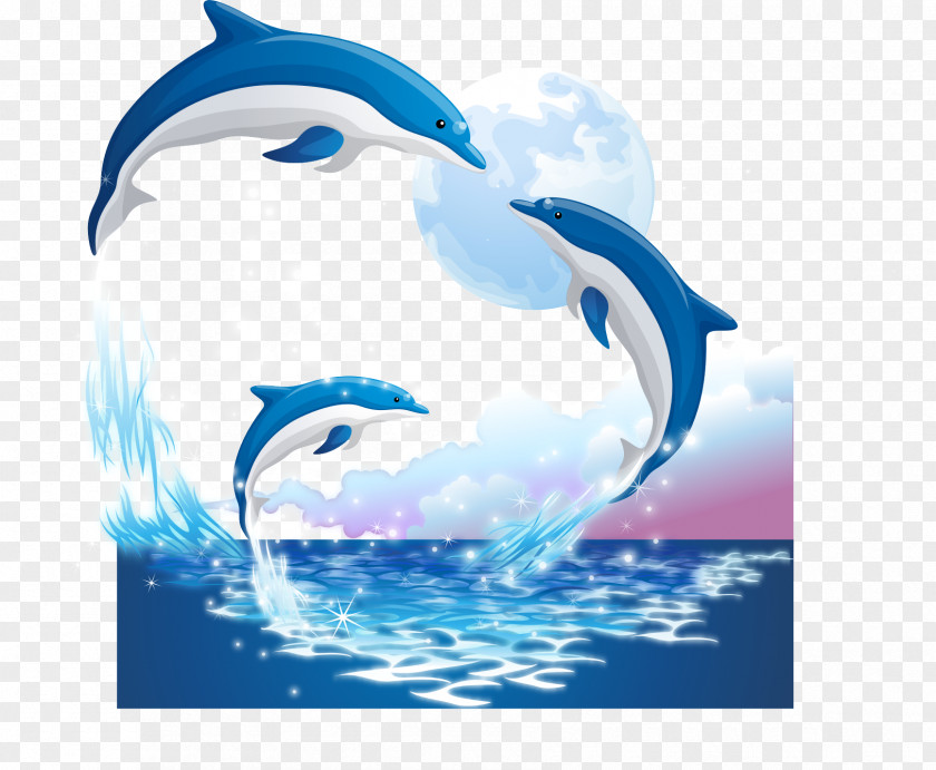 Dolphin Porpoise Sticker Illustration PNG