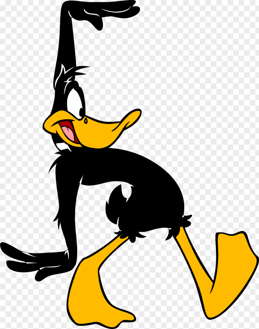 Donald Duck Daffy Elmer Fudd Humour Looney Tunes Joke PNG