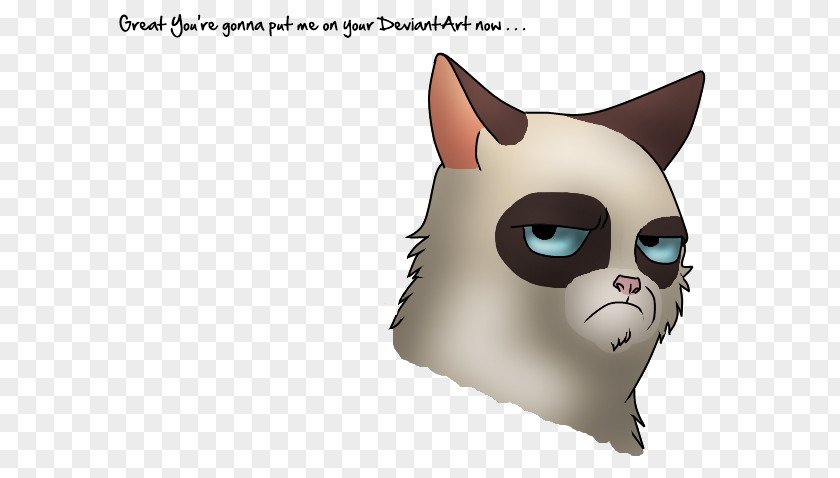 Kitten Whiskers Grumpy Cat Art PNG