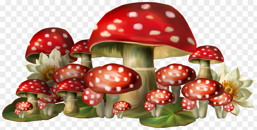 Mushroom Common PNG