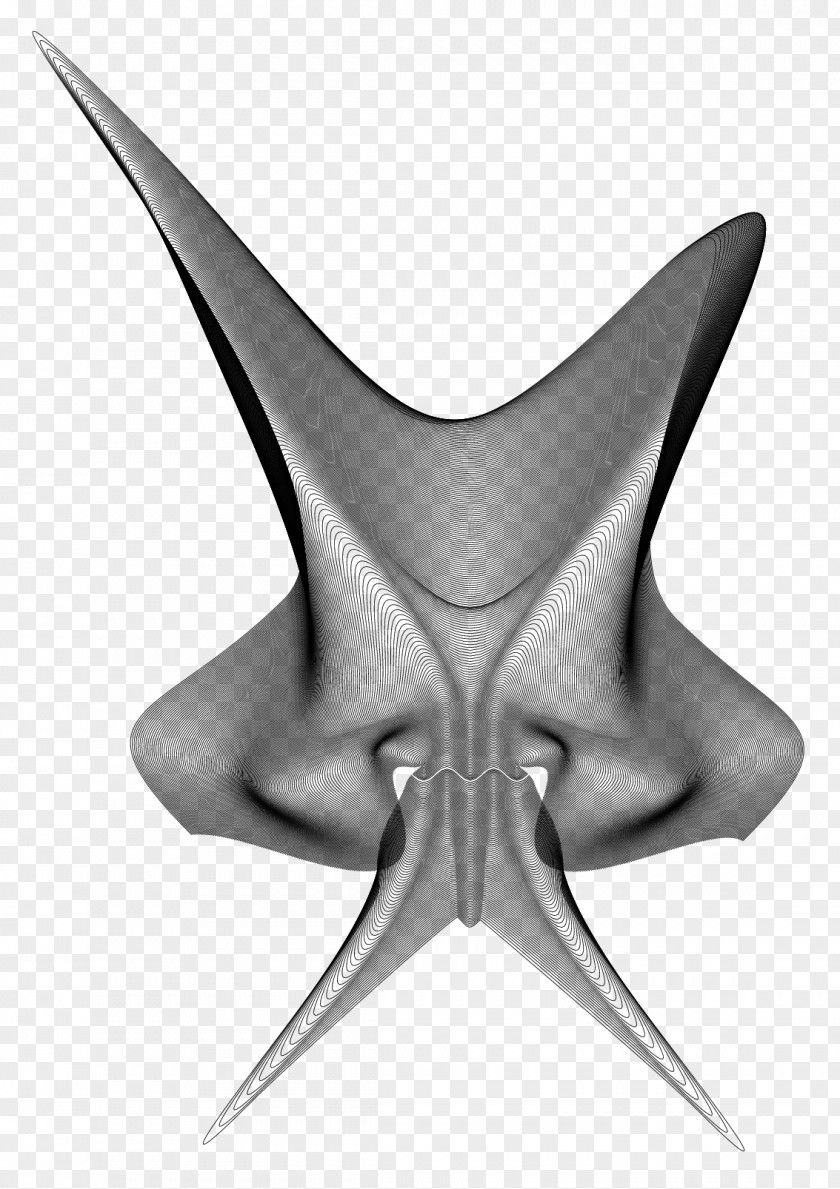 Skull Devil Starfish Line Symmetry Angle PNG