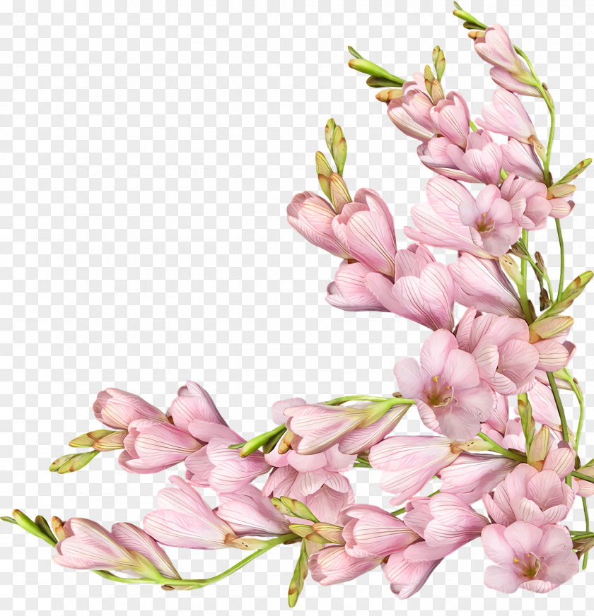 Spring Flower Floral Flowers PNG