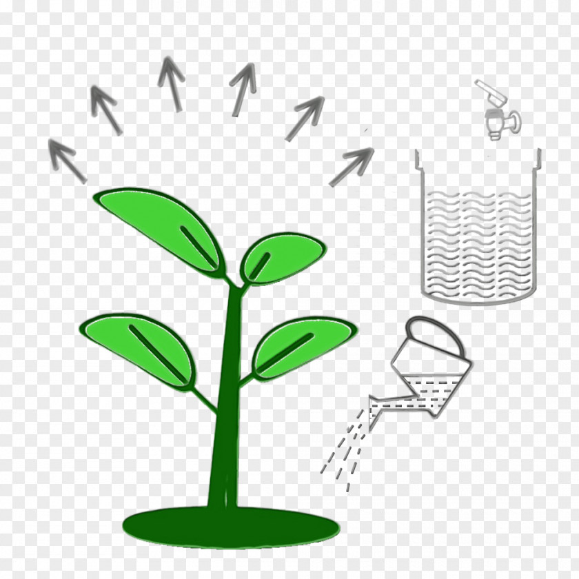 Tree Grass Green Leaf Plant Flower Flowerpot PNG