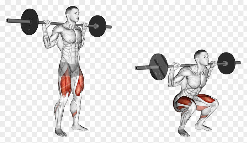 Barbell Squat Exercise Weight Training Lunge PNG