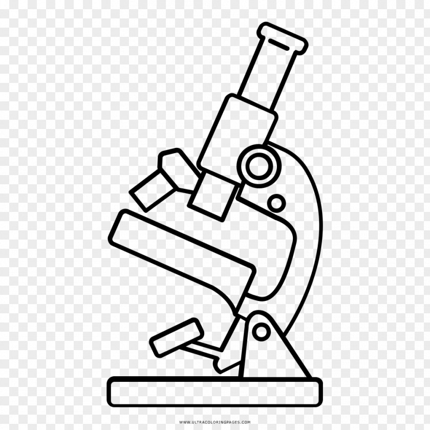 Ear Drawing Microscope Line Art Coloring Book PNG