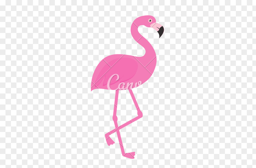 Flamingo Royalty-free PNG