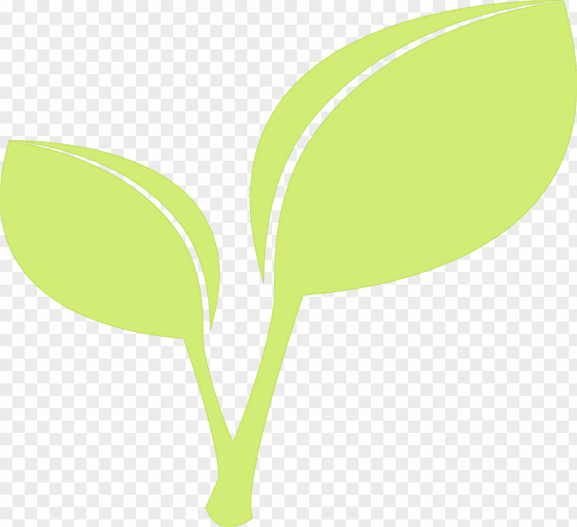Flower Tree Leaf Green Clip Art Plant Line PNG