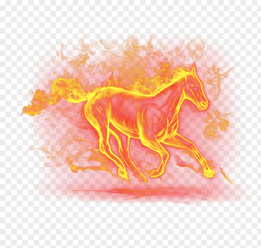 Horse Flame Computer File PNG