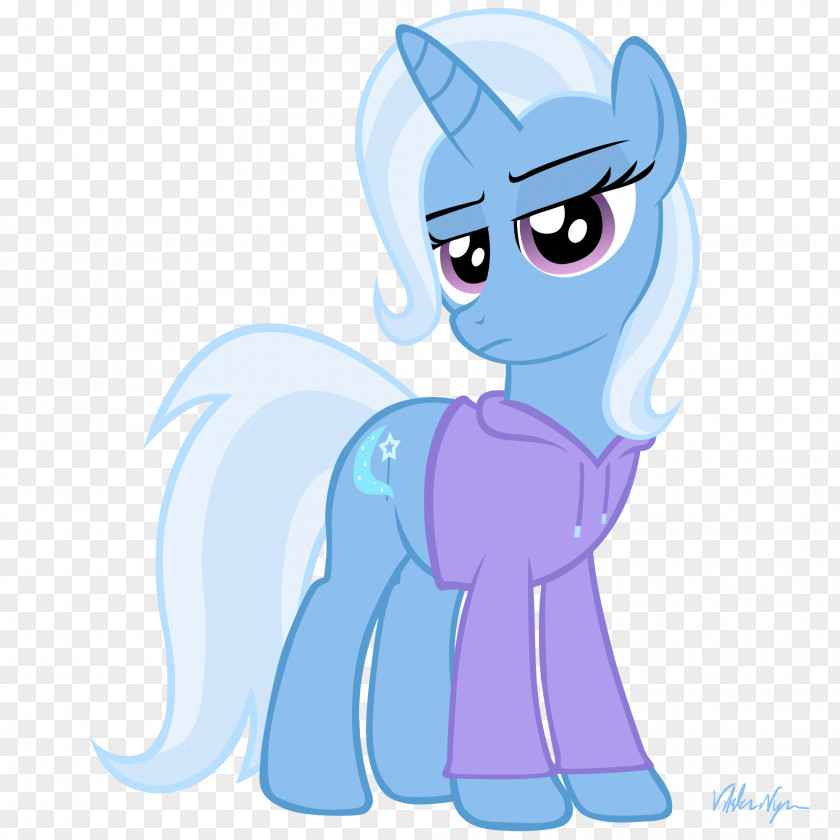 Shivaji Hoodie Pony Animation Sweater PNG