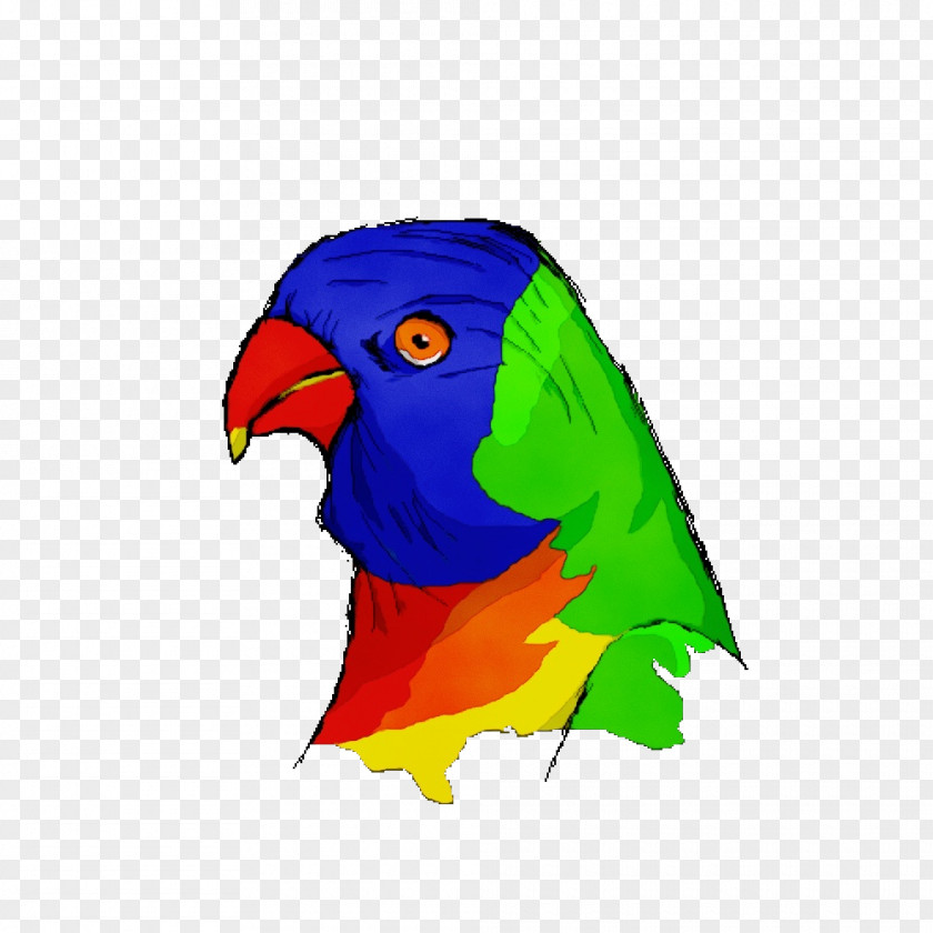 Wing Macaw Lovebird PNG