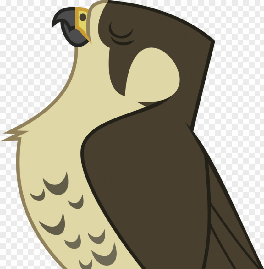 Falcon Pony Bird Kirito DeviantArt PNG