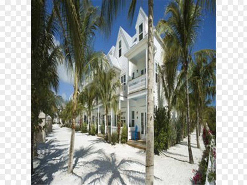 Key West Palm Trees Property Villa Winter Tourism PNG
