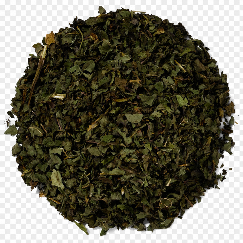 Leaf Nilgiri Tea Tieguanyin Plant PNG
