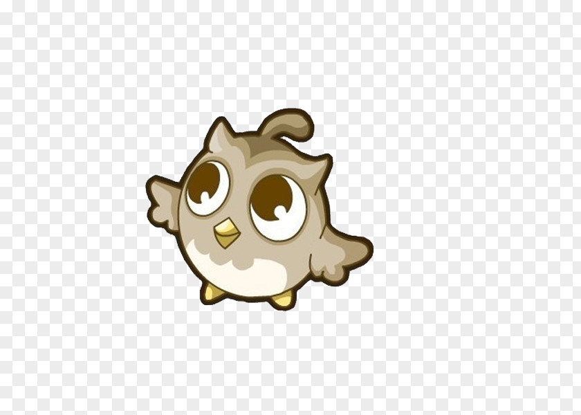 Owl Bird Gratis Download PNG