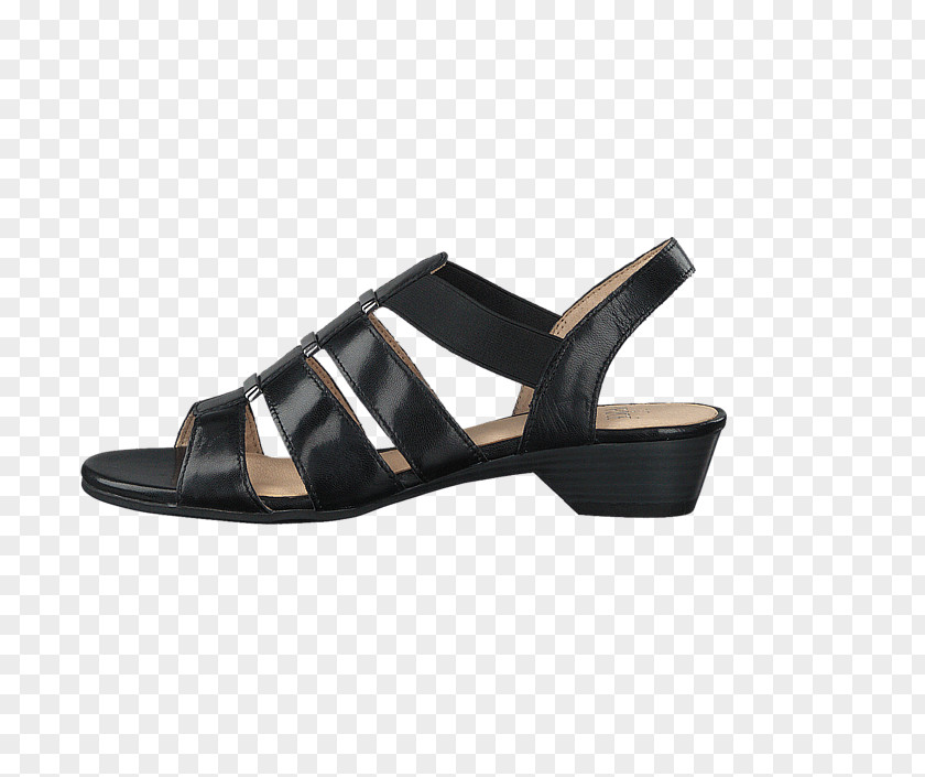 Sandal Nappa Leather High-heeled Shoe PNG