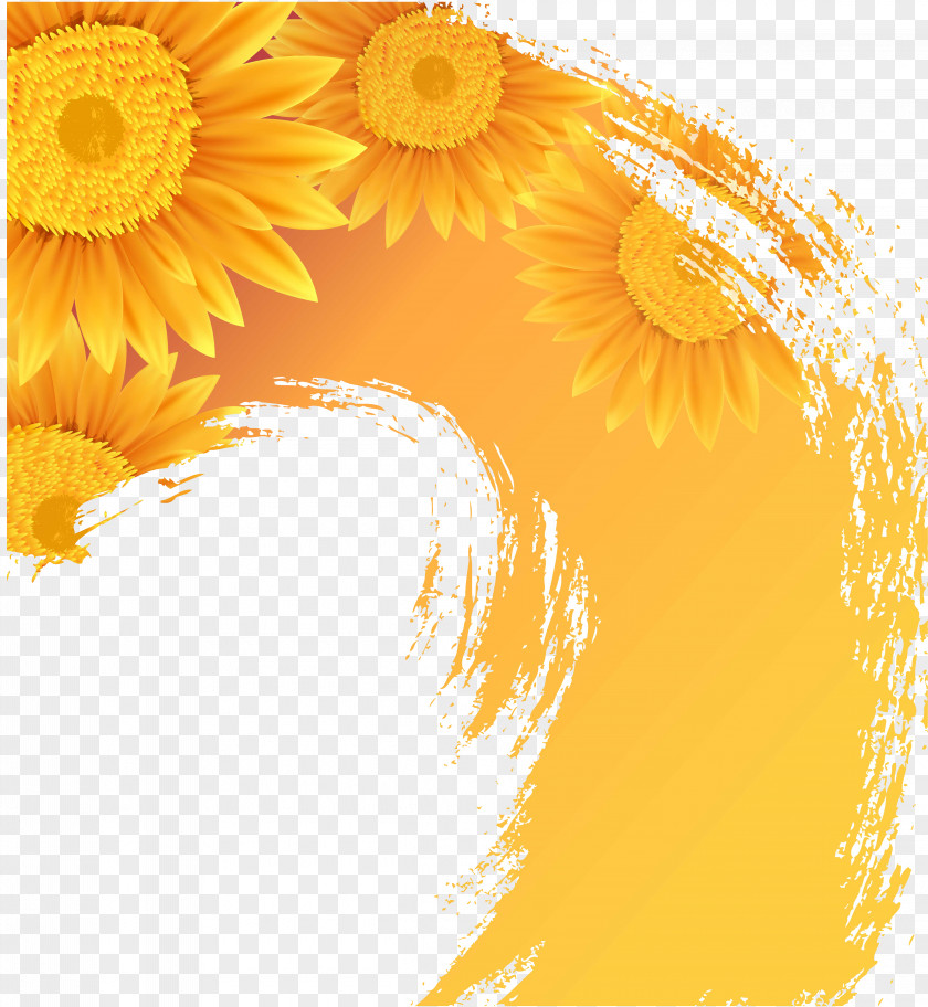 Sunflower Common Illustration PNG
