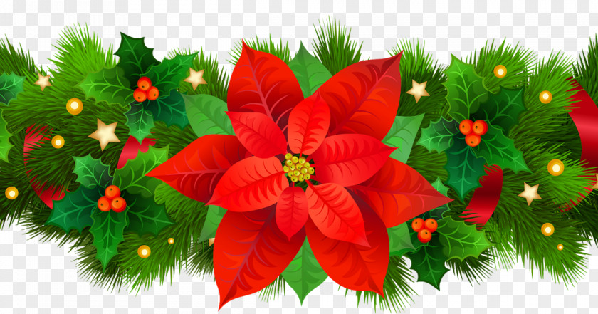 1 2 Written Poinsettia Image Resolution Clip Art PNG