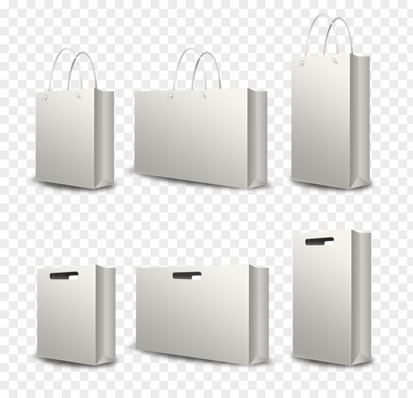 3D Model Shopping Bag Bags Industry VI Paper Template PNG
