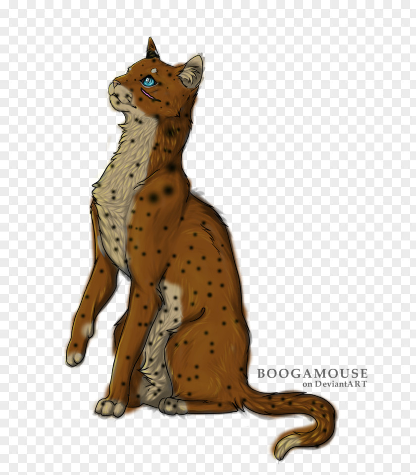 Cat Cheetah Whiskers Drawing Art PNG
