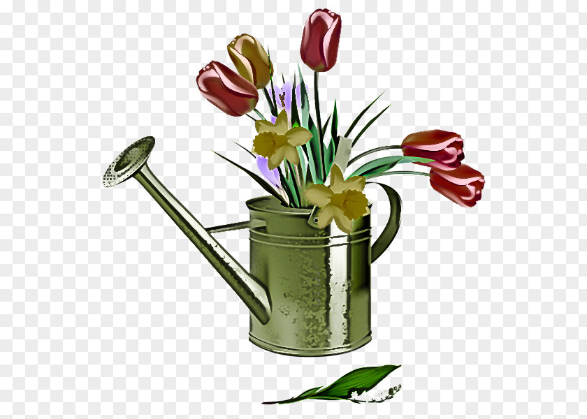 Flower Flowerpot Cut Flowers Plant Tulip PNG