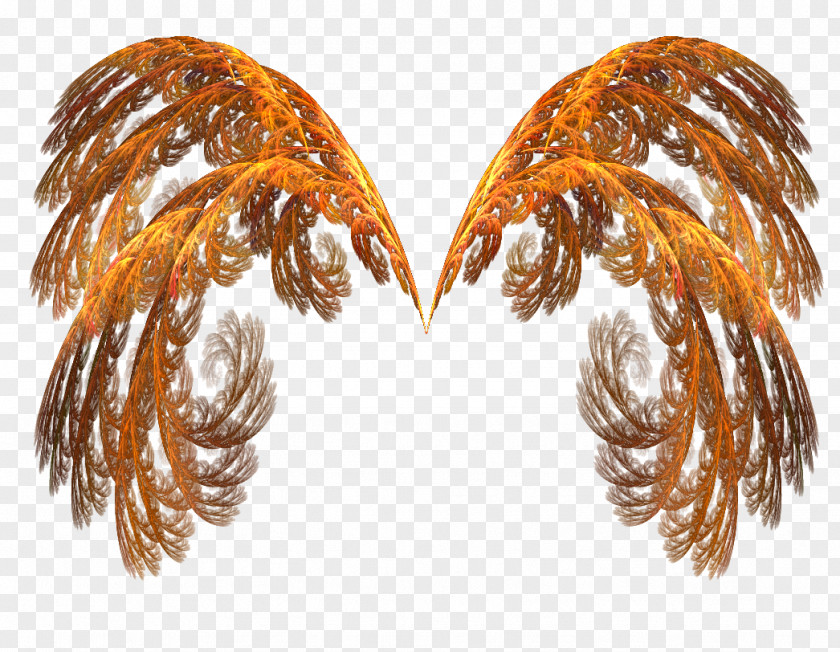 Frie Wings Of Fire Clip Art PNG