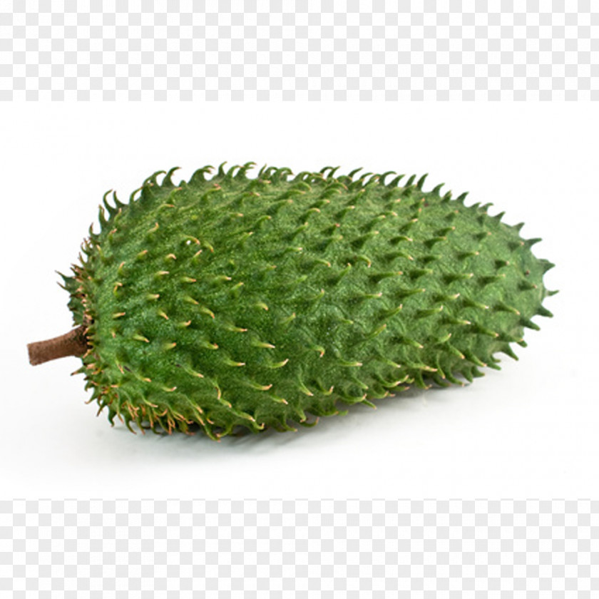 Juice Soursop Tropical Fruit Cherimoya PNG