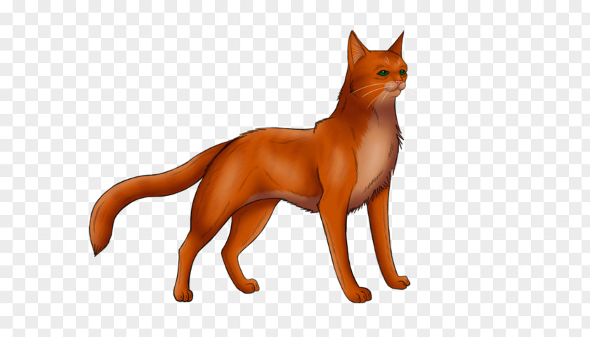 Kitten Whiskers Firestar Fan Art PNG