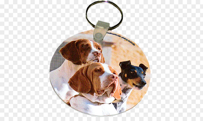 Puppy Dog Breed Treeing Walker Coonhound Key Chains Gift PNG