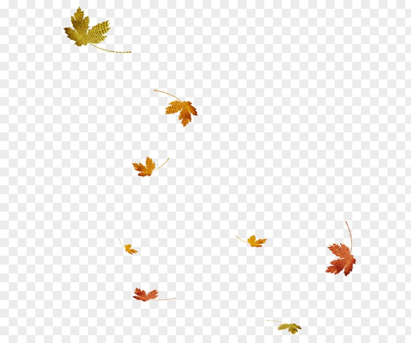 Scattered Maple Leaves Autumn Leaf PNG