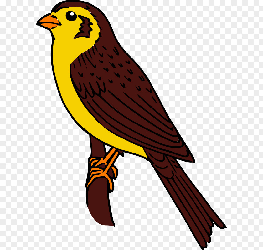 Sparrow Bird Clip Art PNG