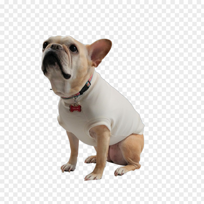 T-shirt French Bulldog Toy Dog Breed PNG