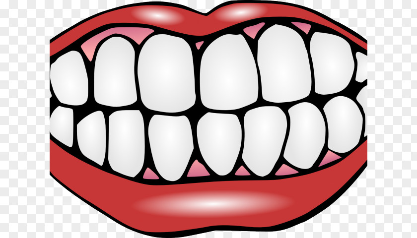 Us Tooth Clipart Clip Art Human Dentistry Whitening PNG