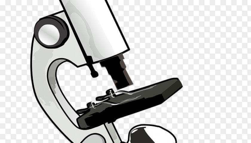Binocular Border Optical Microscope Clip Art Light Free Content PNG