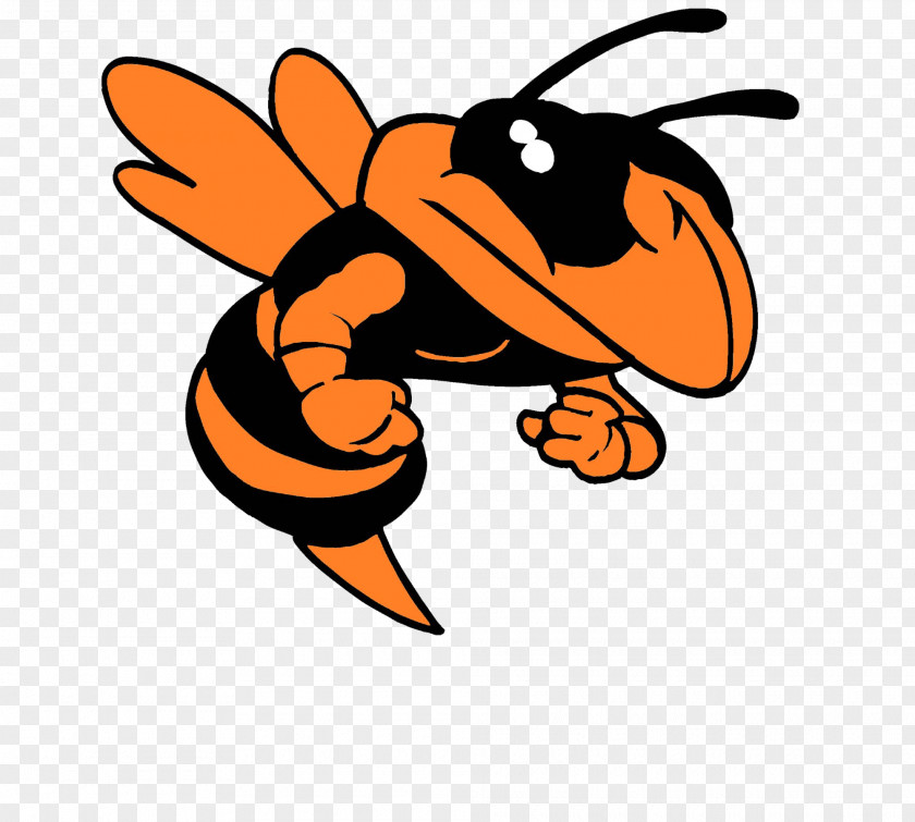 Hornet Vespa Simillima Clip Art PNG