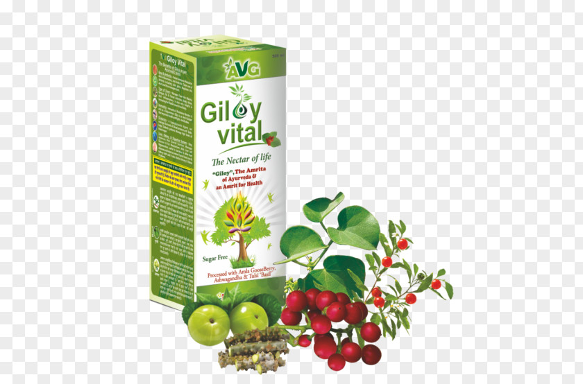 Juice Health Apple Cider Vinegar Medicine Herb PNG